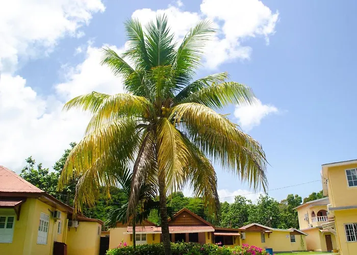 Pensión Little Shaw Park