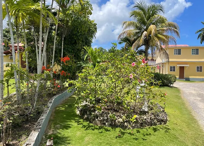 Pensión Little Shaw Park